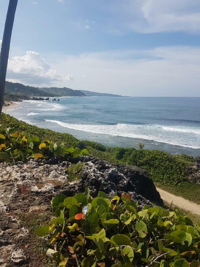 Breezy Apts Saint Philip Extérieur photo